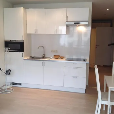Apartment Hyppolite Metdepenningenstraat G Ghent
