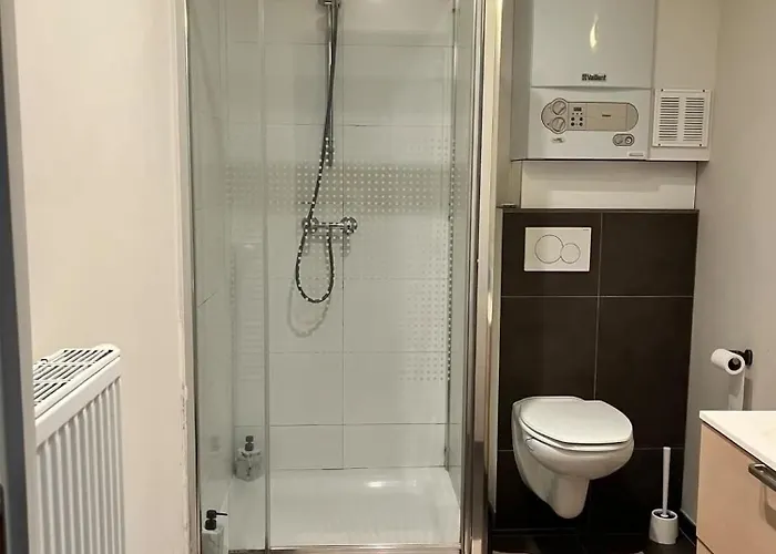 Hyppolite Metdepenningenstraat G Apartament Gandawa